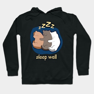 cat-sleep well Hoodie